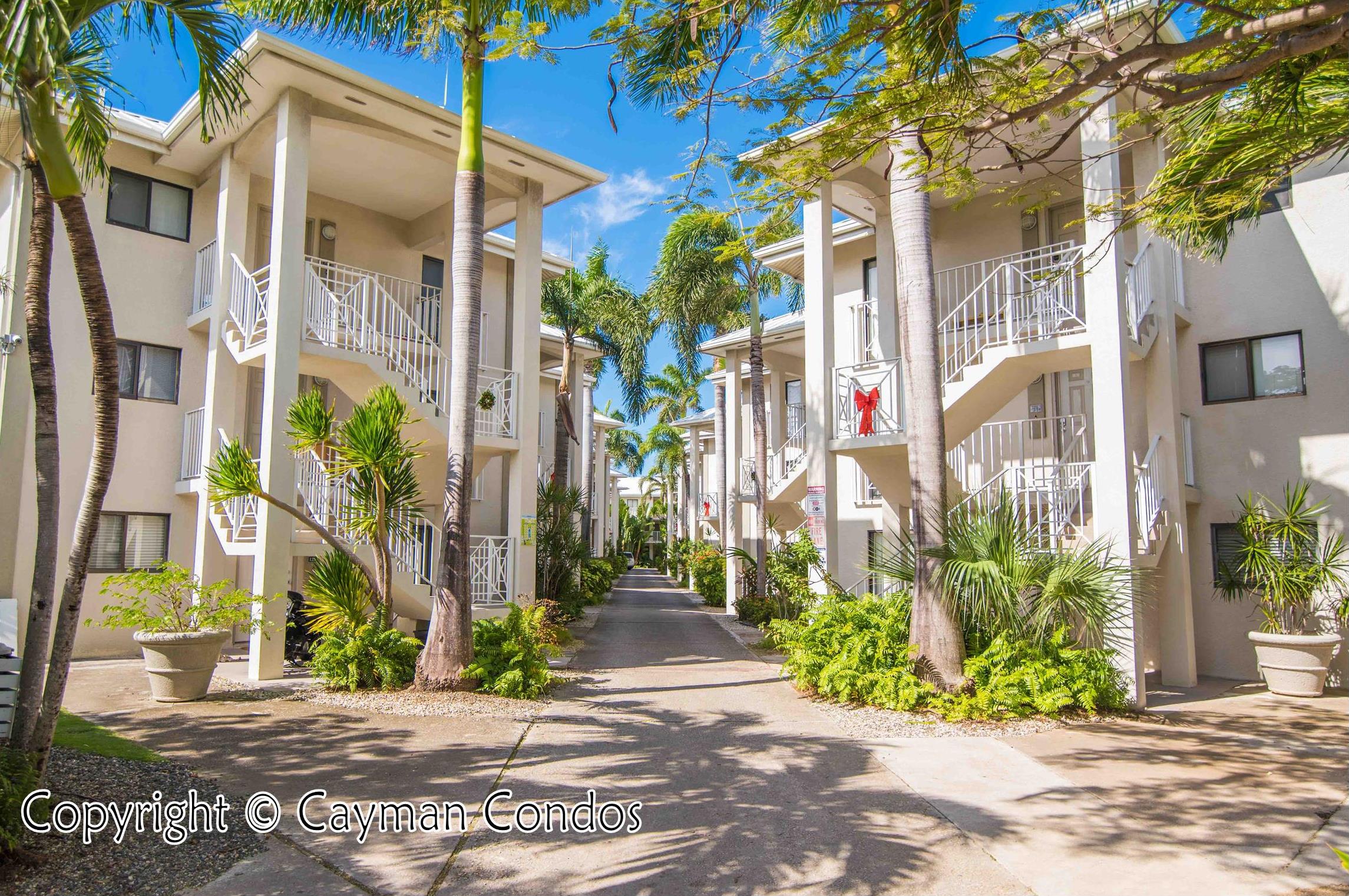 Cayman Islands Condo Rentals Seven Mile Beach Grand