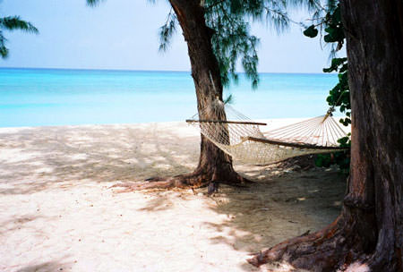 Hammock hangs between two palm trees next to a sandy beach